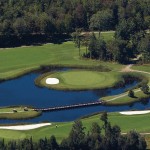golf-golf-owl-s-head-217807963