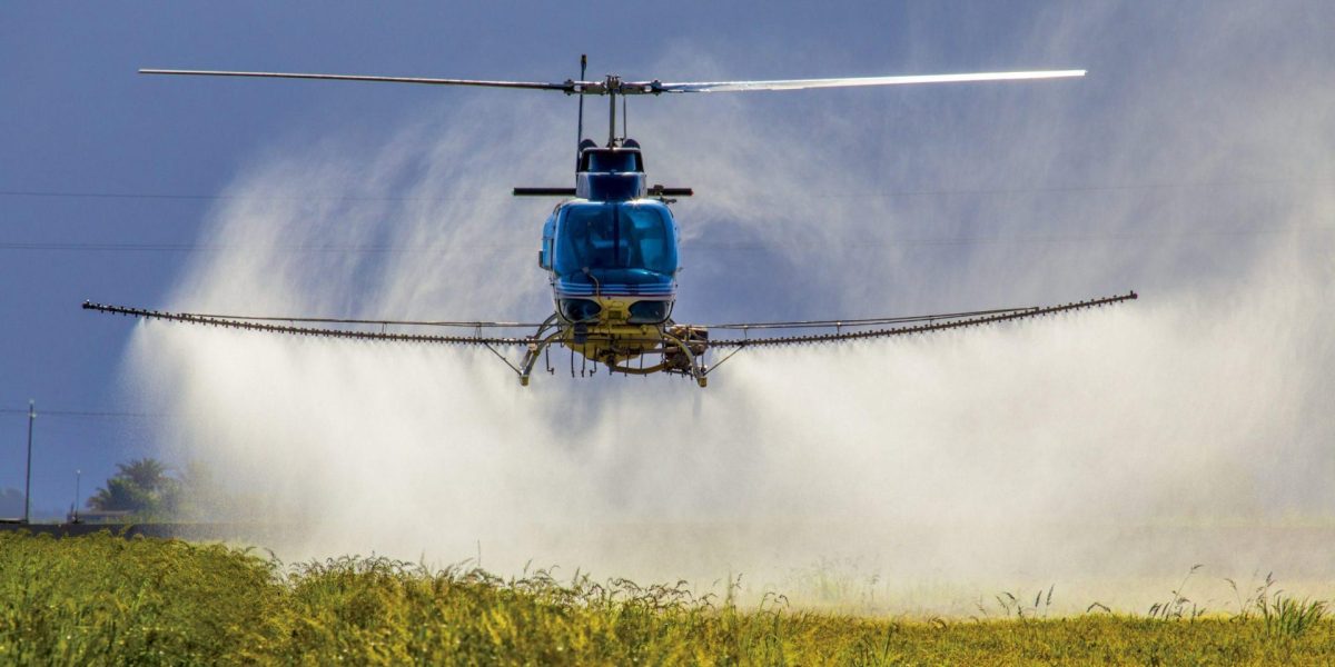 shutterstock_369028331-min